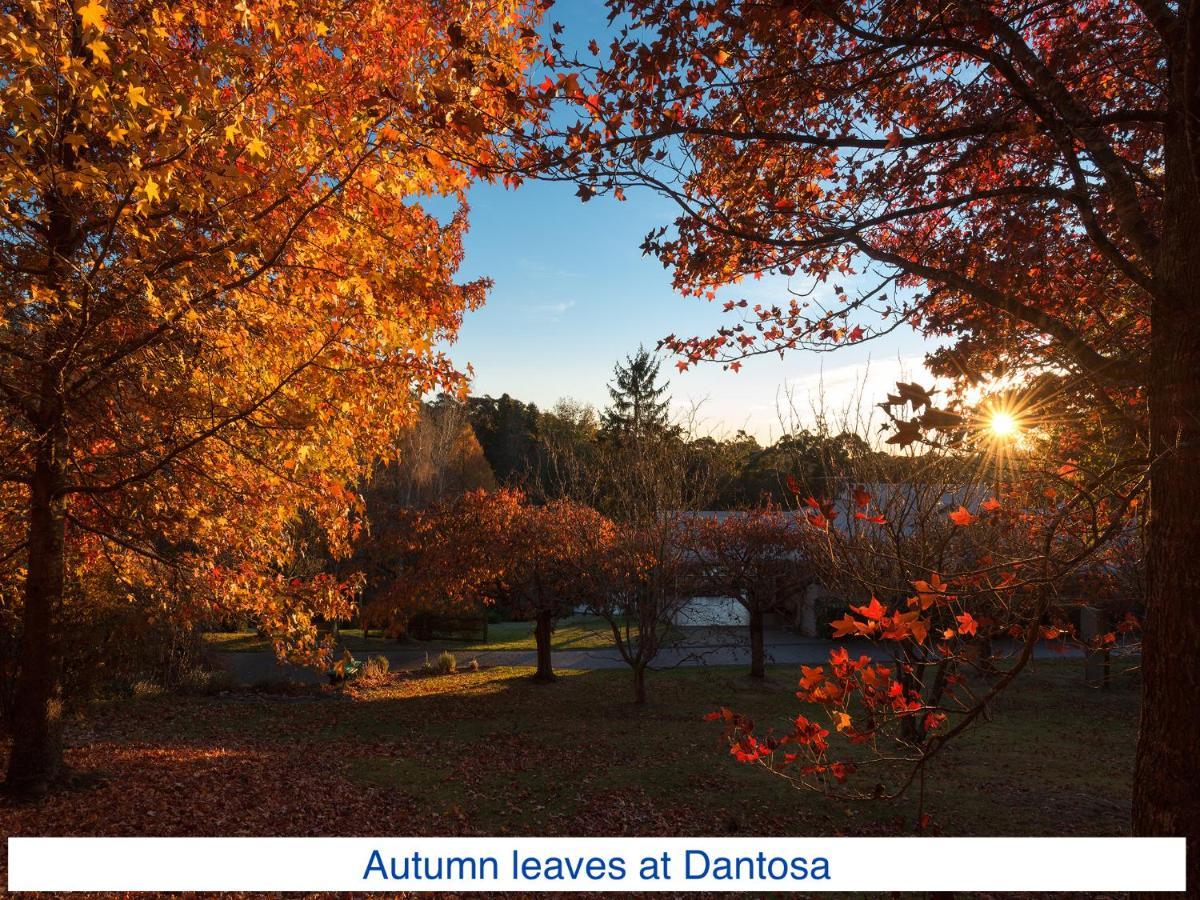 Dantosa Blue Mountains Retreat Vila Katoomba Exterior foto