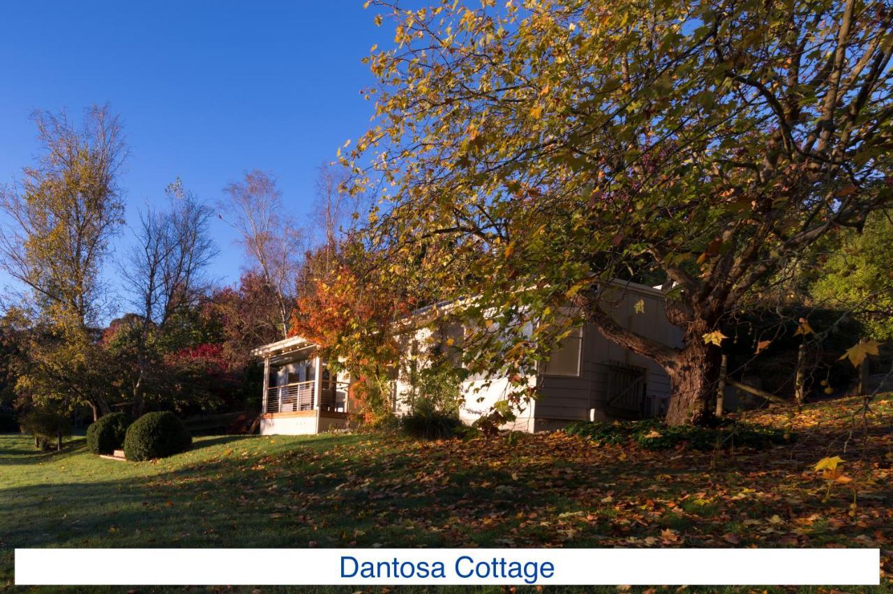 Dantosa Blue Mountains Retreat Vila Katoomba Exterior foto